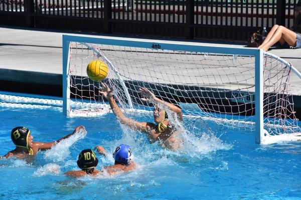 Mountain View High School's Water Polo program has a tough coach Raffi, but is a great program.