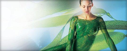 Seaweed Body Contouring.
 Encourages slimming, firming and reduces appearance of cellulite.