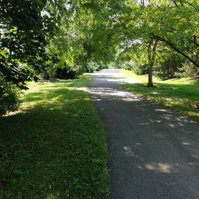 an abandoned road is now a hiking/biking path