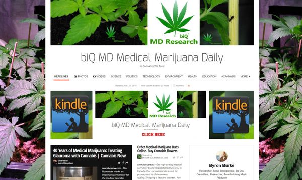 biQ MD Medial Marijuana Daily is distributed by BB Media Global Group - www.biqmd.com