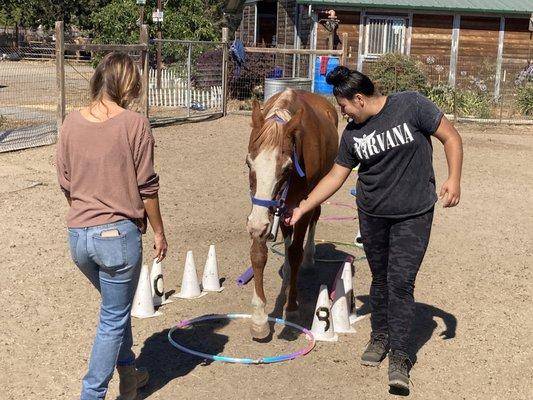 Two teens teaming up to   lead the horse at liberty through their obstacle course, Life's  Little Challenges.