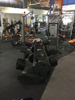 We provide quality exercise equipment from great companies like Cybex, LifeFitness, and Bodymaster!