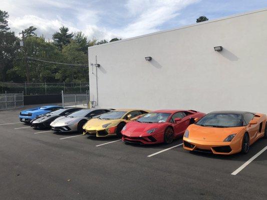 Lambo lineup