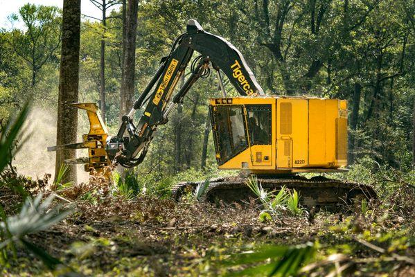 Tigercat Feller-Buncher logging industry