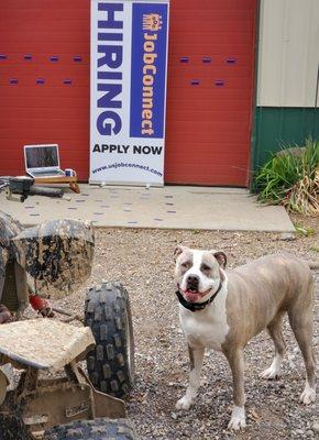 Our Mascot Smokey, recruiting while social distancing.