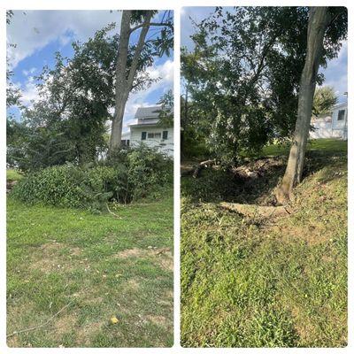 Before and after of a tree clean up/ditch clean