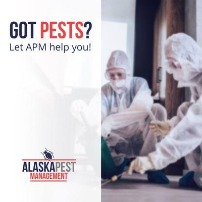 Alaska Pest Management