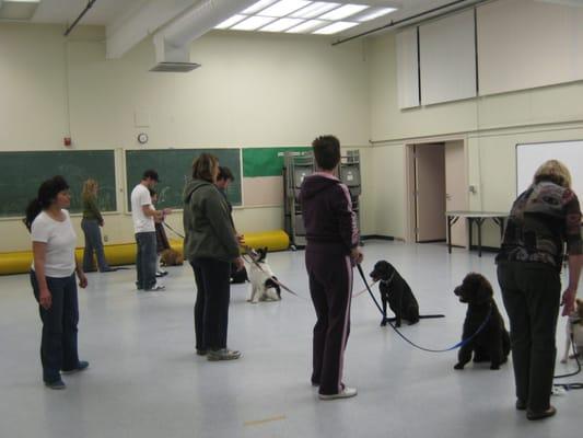 Woof Mountain Dog Training & Pet Services