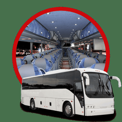 Church Tours 
Festival Tours 
Theater Tours Brewery Tours Museum Tours Shopping Tours Casino Bus Trips
Restaurant Tours Horse Racing