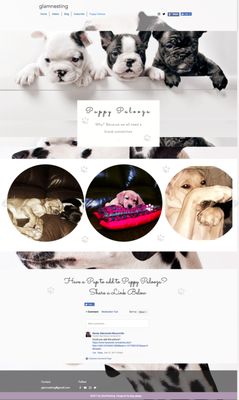 Pet Website