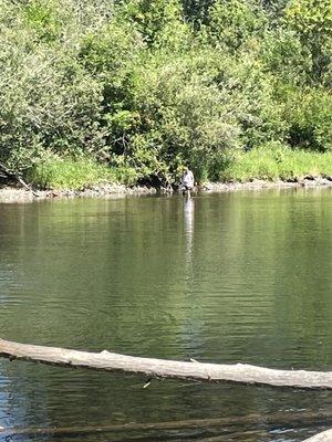 North Fork Lewis River