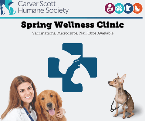 Spring Wellness Clinic