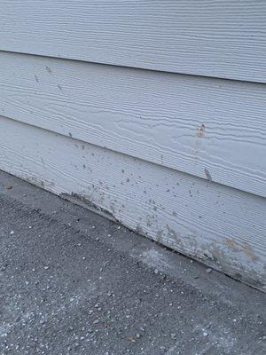 Concrete splatter that ruined my siding. I have to replace it