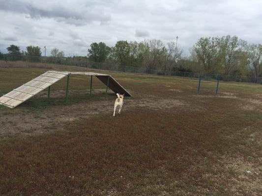 The park has some equipment for the dogs to play on as well as places for their humans to sit.