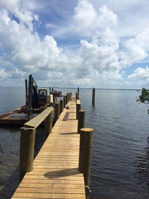 Dock and pilings