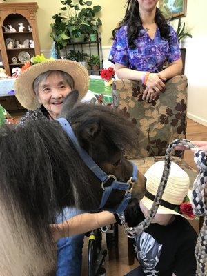 A wonderful engaging visit from the minis brought by Hawks petting zoo Ranch located in Lincoln California