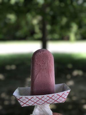 What a beautiful sight, a hand crafted blueberry lemonade ice pop on a hot sunny day! Life is better with a popsicle!