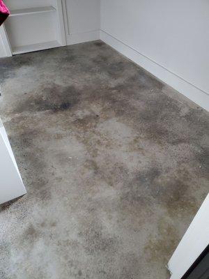 Premier Stained Concrete