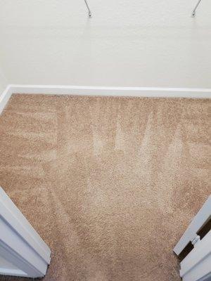 Carpet cleaning