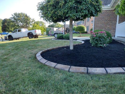 Decorative concrete borders will keep your mulch inside the bed where it belongs while framing your landscaping with a beautiful border