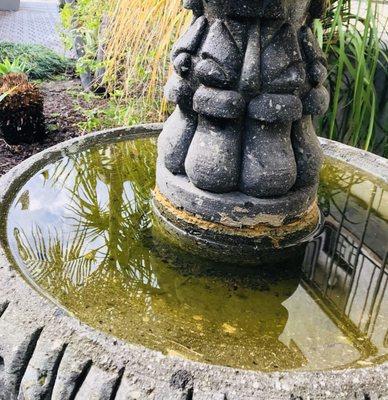 Birdbath in the walkway