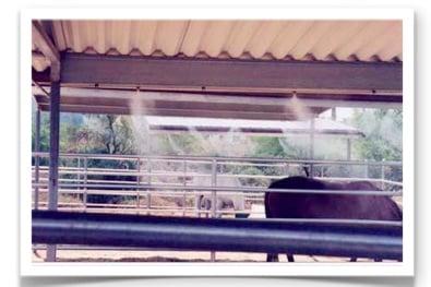 #barns are cool and animals safe with a #misting system from Mistair