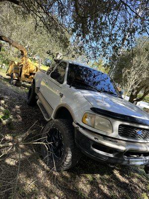 AP Tree Service