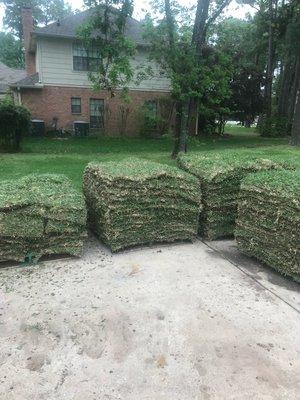 At Augustine grass pallets delivered