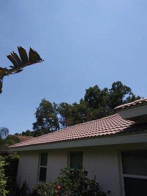 Erik's Roof Cleaning