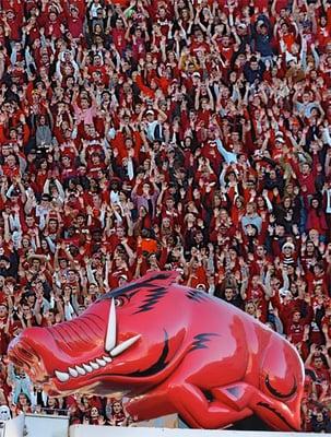 Our Razorback grill is a staple during Arkansas' tailgate season.