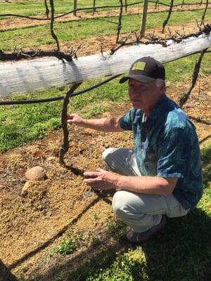 Steve explaining the grafting process