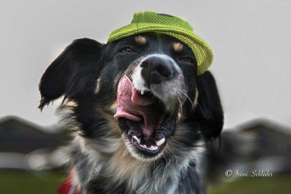 Vitório um charme só!