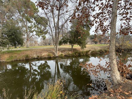 Creek behind hole 1 basket