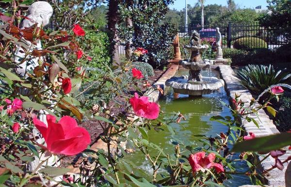 Patient view of the water feature and garden from the treatment rooms.