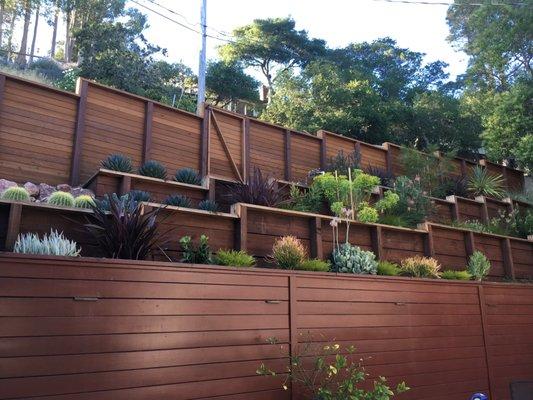 Horizontal redwood fence including retaining walls and planting with drip irrigation