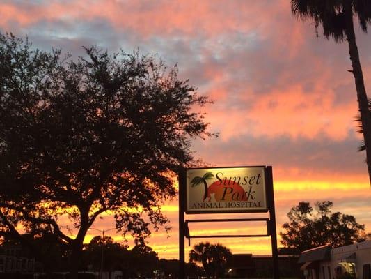 Sunset Park Animal Hospital