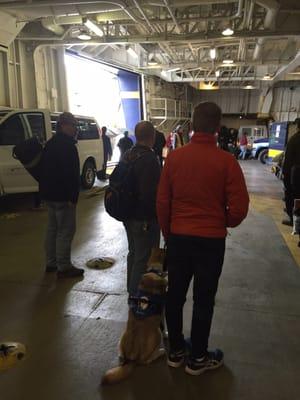 My son service dog on the Alaska ferry.