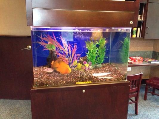 Fish tank