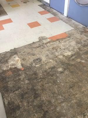 Tiles need to be replace