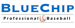 Blue Chip Professional Baseball - Instruction for Baseball and Softball - Anderson and Upstate, SC