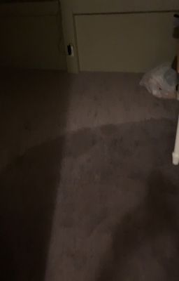 Carpet damage from a flooded basement