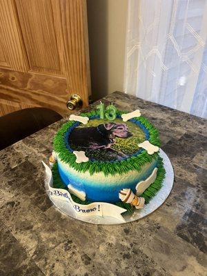 Bruno's 13th birthday cake