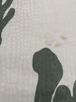 Dog hair and paw prints when we checked in this is what we saw.