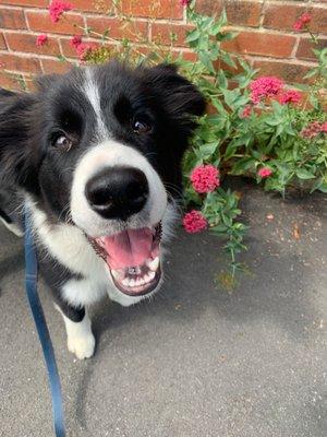 Excited to walk!