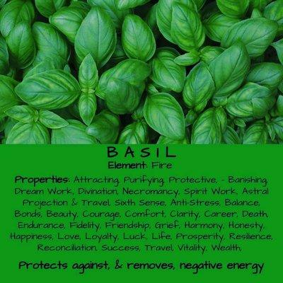 Basil