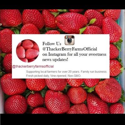 Follow us on Instagram @ThackerBerryFarmsOffical , for all your sweet news updates!