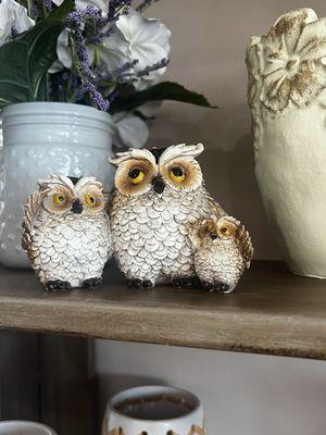 Adorable owl gift.