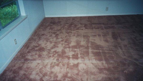 finished carpet repair ,seam down the middle of the room