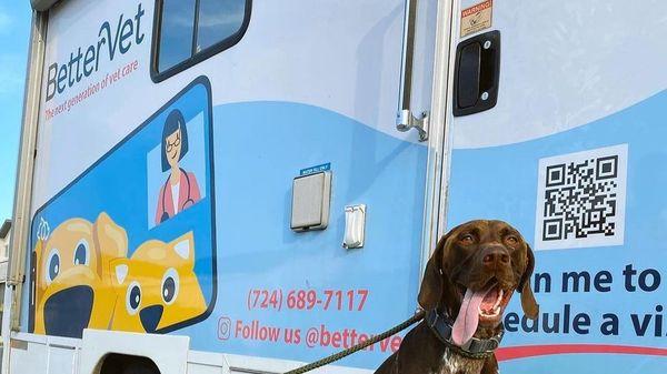 Happy customer infront of the BetterVet mobile vet truck.