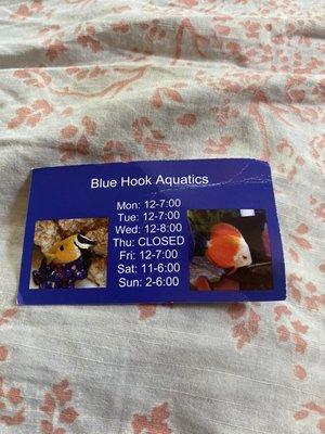 Blue Hook Aquatics